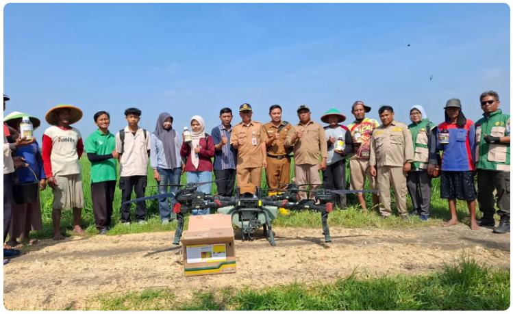 Modernisasi Pertanian, Mahasiswa Agribisnis Praktik Kendalikan Hama Pakai Drone